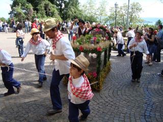 Immagine allegata alla scheda. Per averne una descrizione leggere i dettagli più in basso.